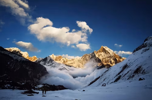 How to Eat Smart on the Annapurna Base Camp Trek: Fueling Your Body